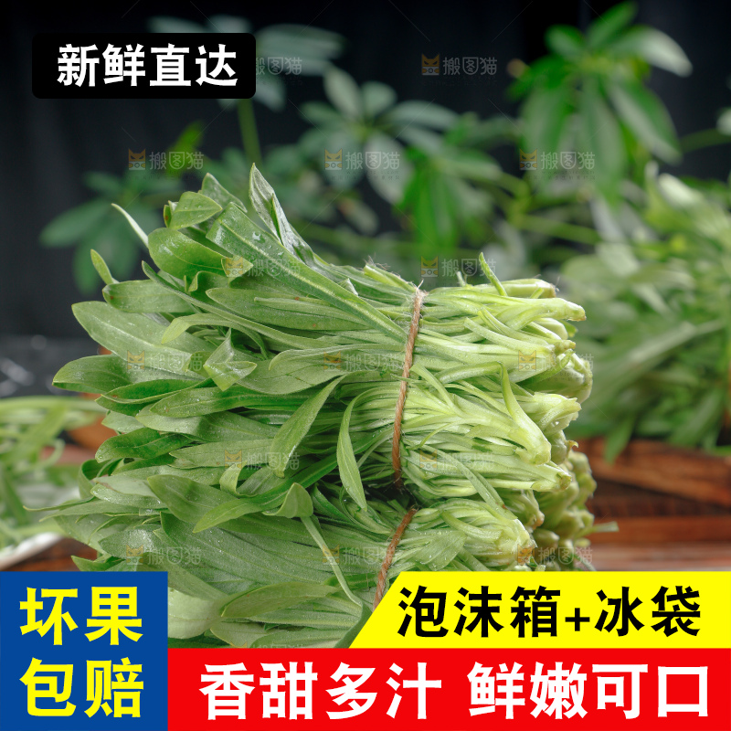 面条菜