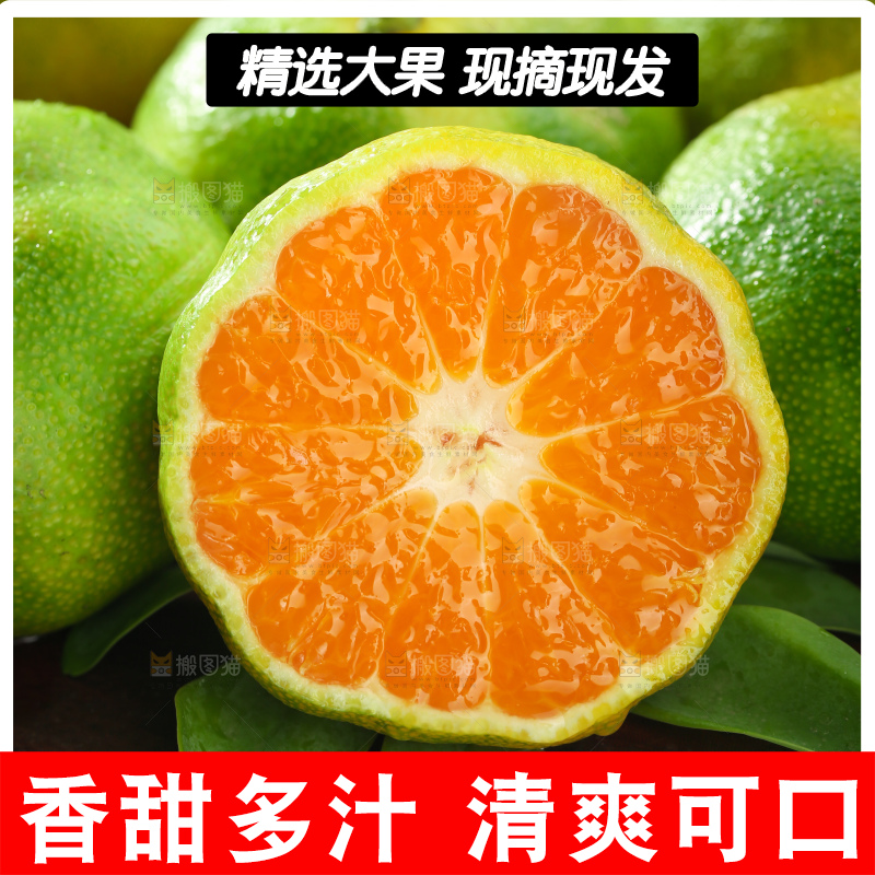 青皮蜜桔