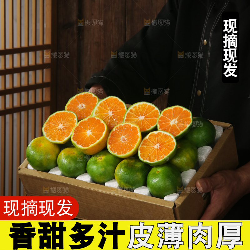 青皮蜜桔
