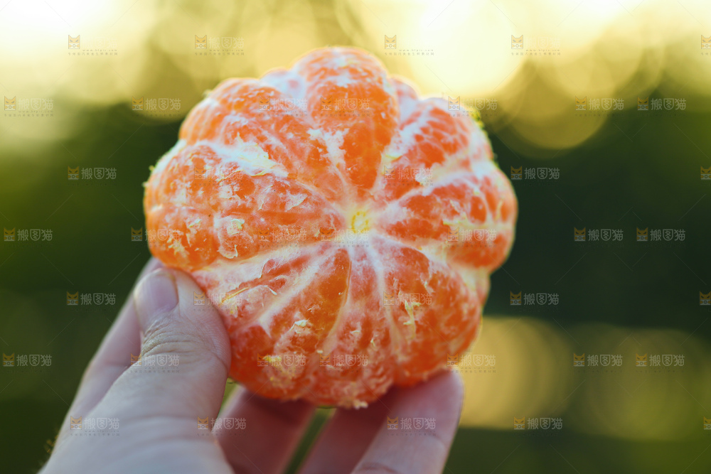 寻乌蜜桔