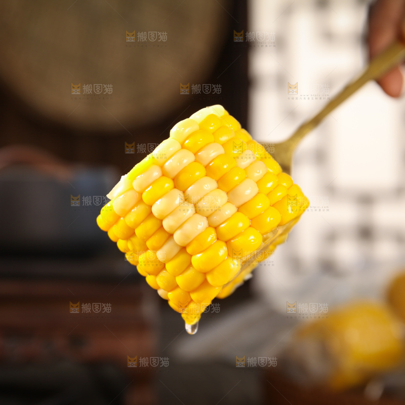 玉米段