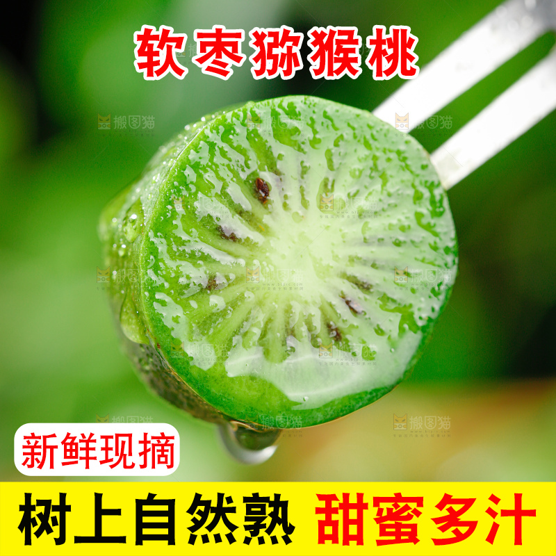 软枣猕猴桃