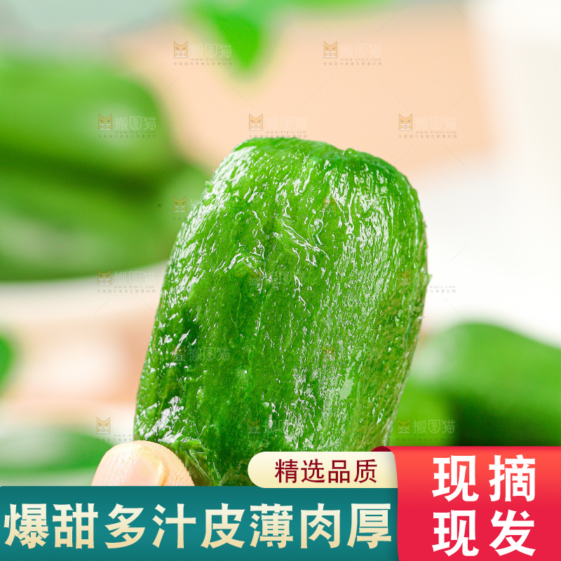 软枣猕猴桃