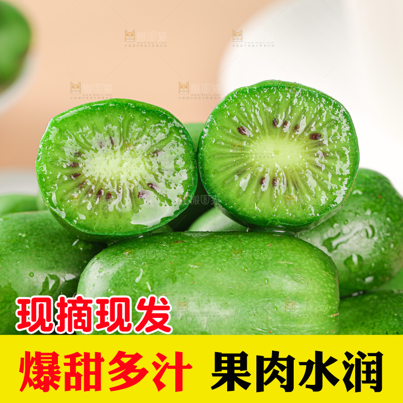 软枣猕猴桃