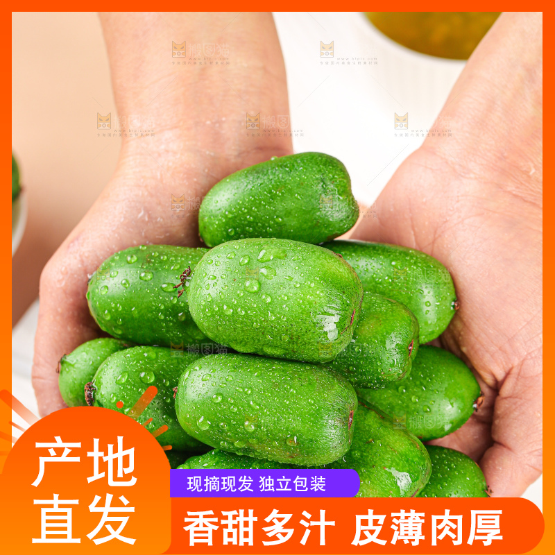 软枣猕猴桃