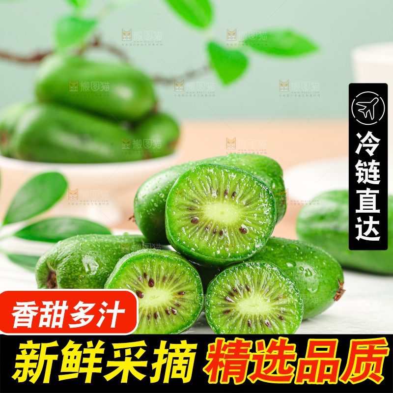 软枣猕猴桃