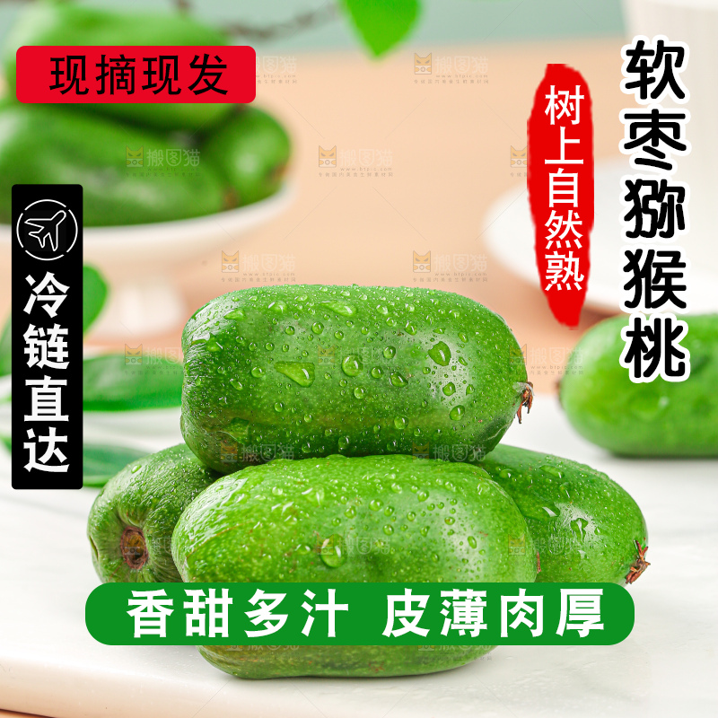 软枣猕猴桃