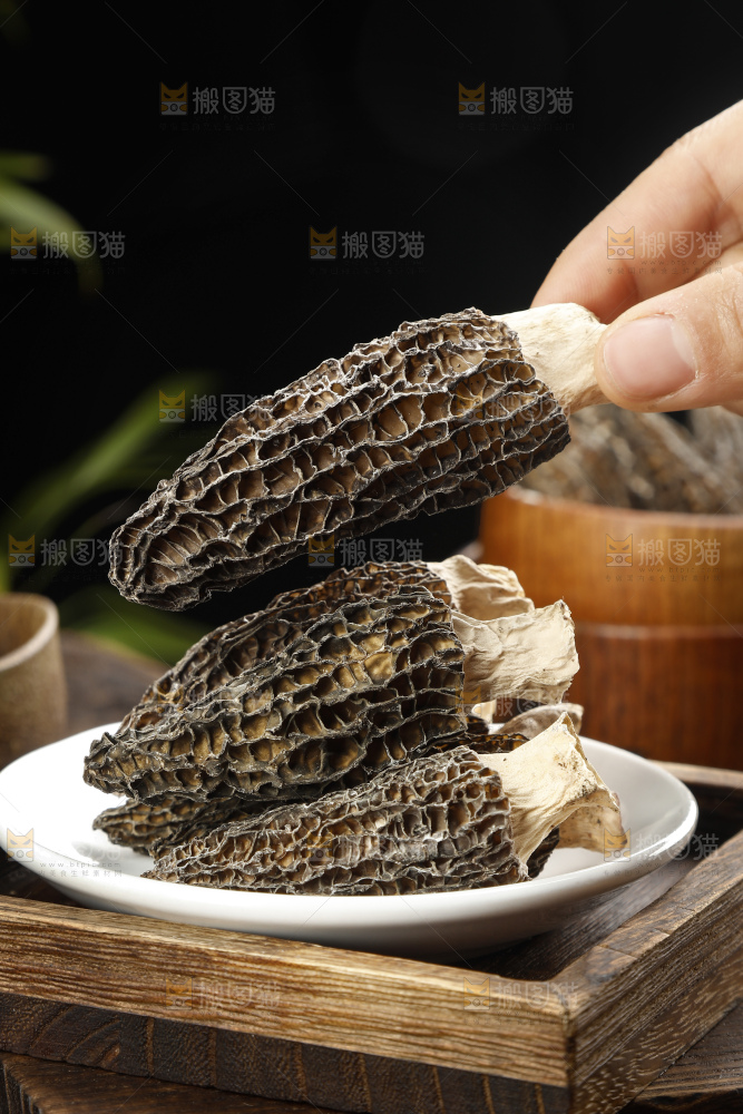 羊肚菌