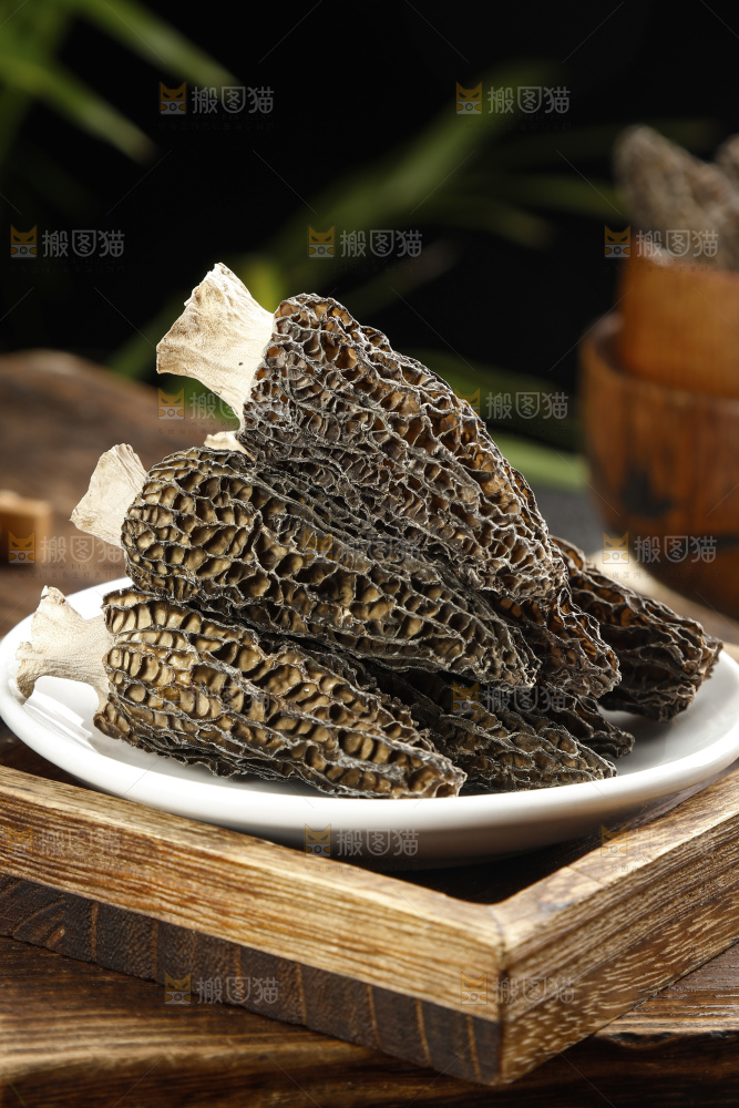 羊肚菌