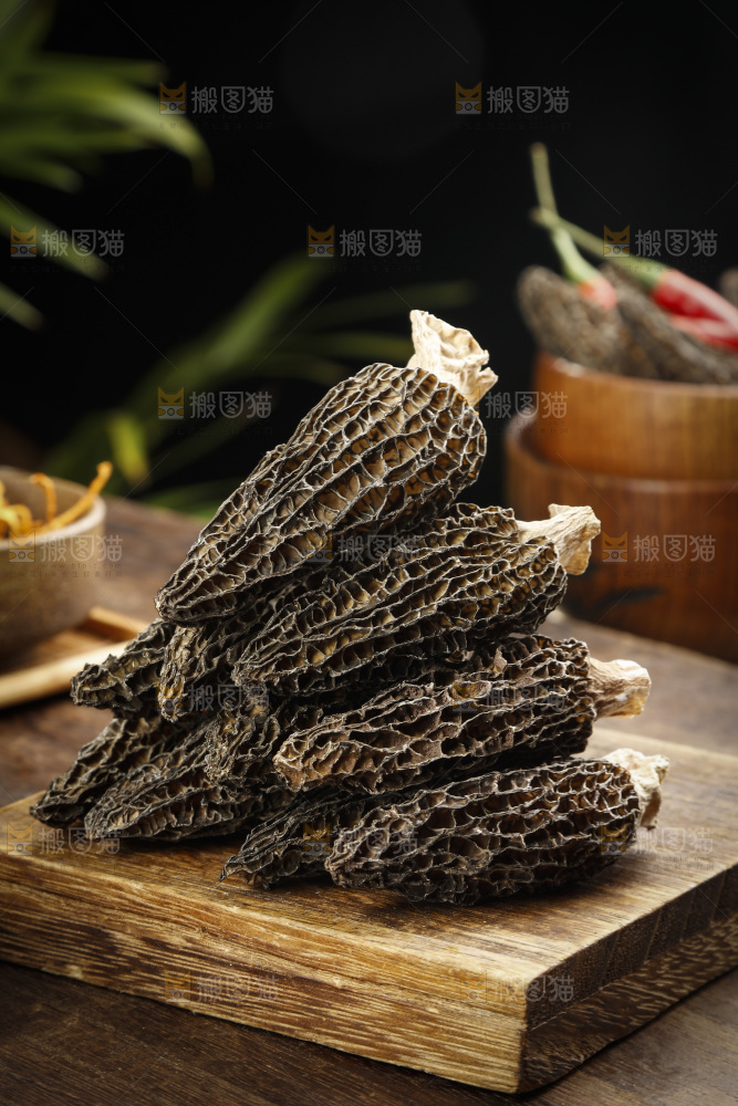 羊肚菌