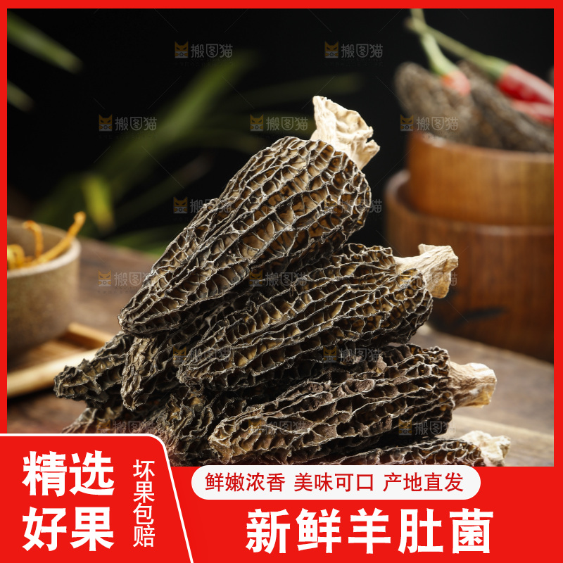 羊肚菌