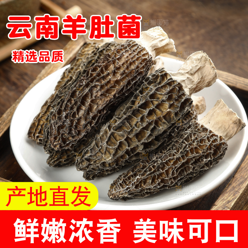 羊肚菌