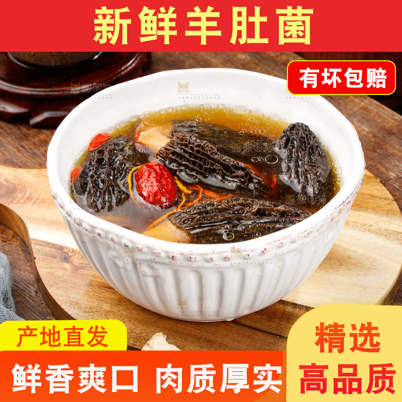 羊肚菌