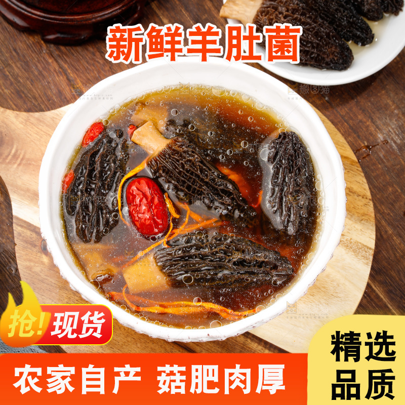 羊肚菌