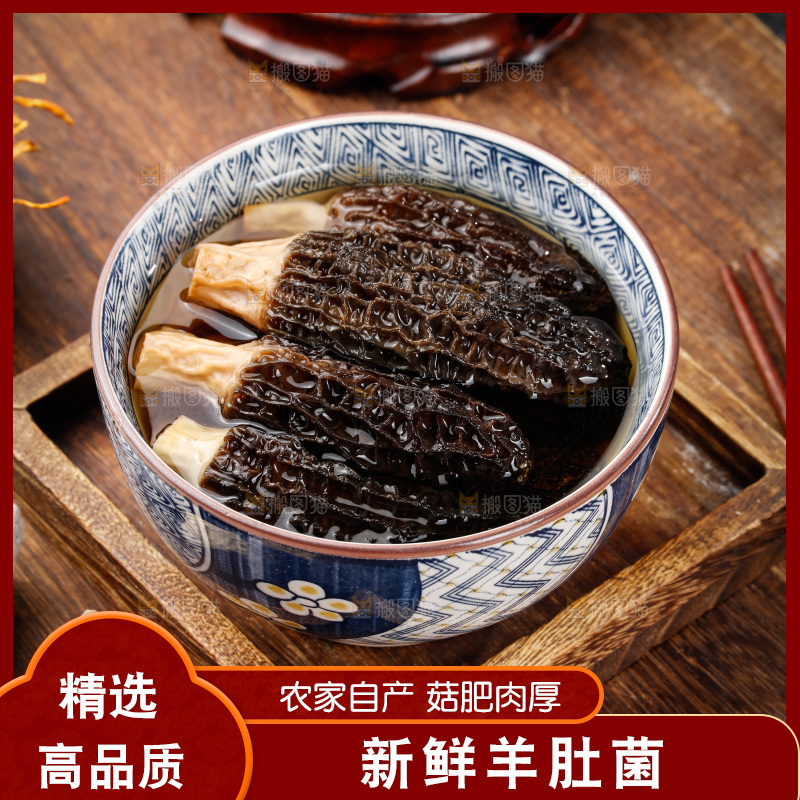 羊肚菌