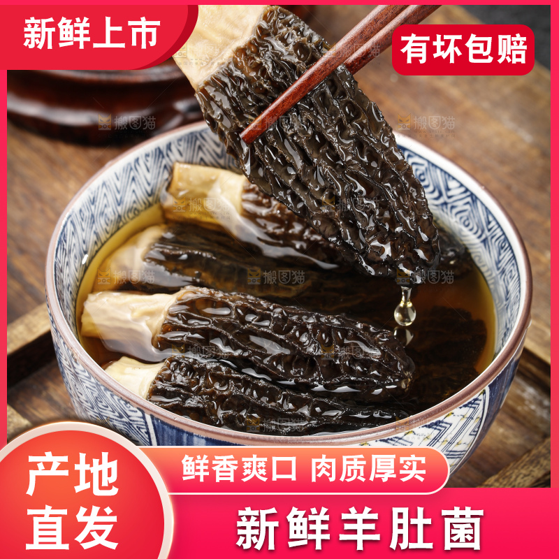 羊肚菌