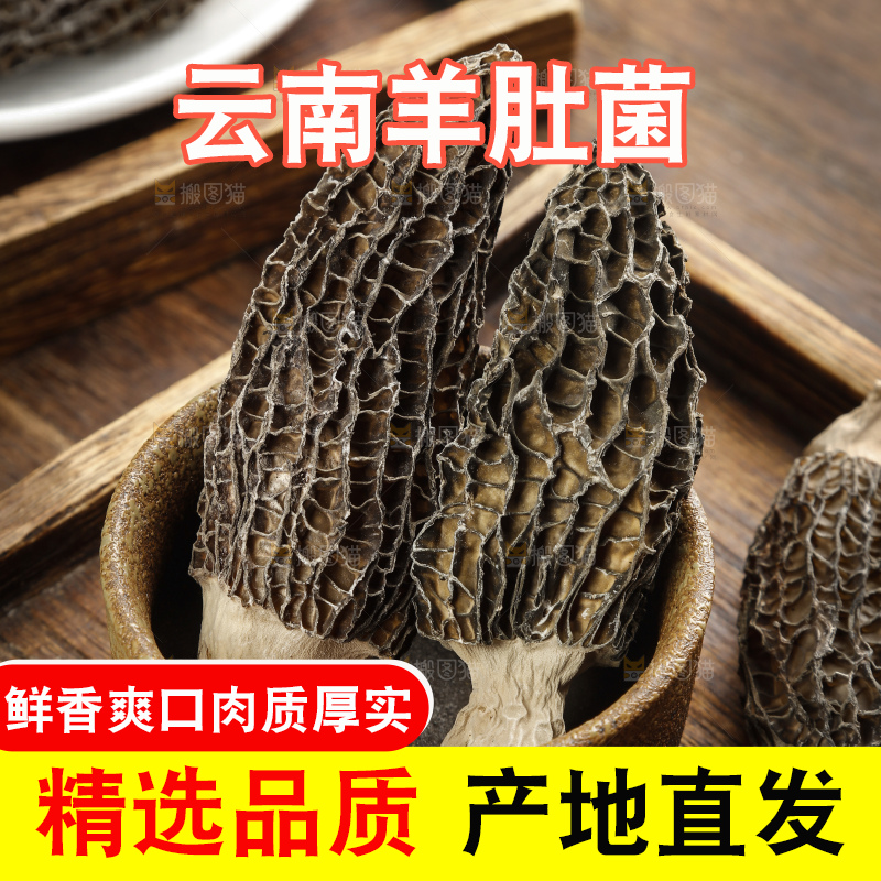 羊肚菌