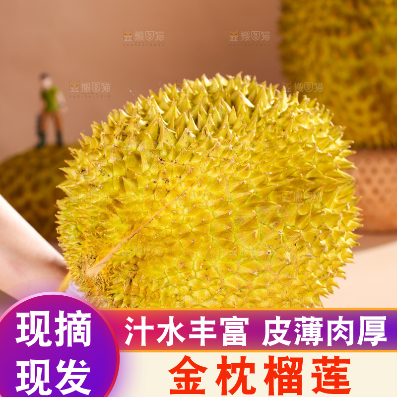 金枕榴莲