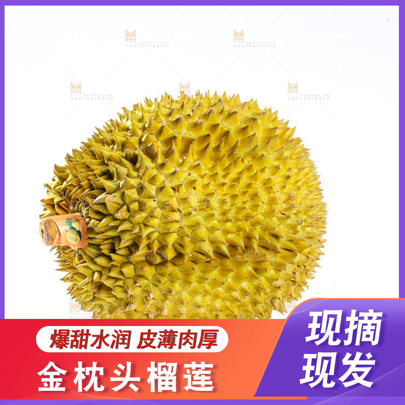 金枕榴莲