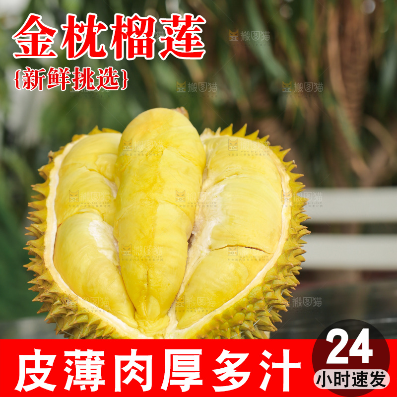 金枕榴莲