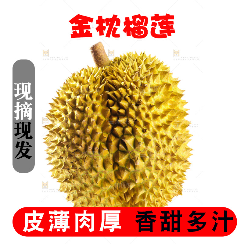 金枕榴莲