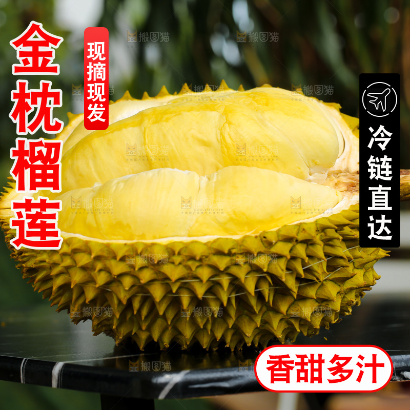 金枕榴莲