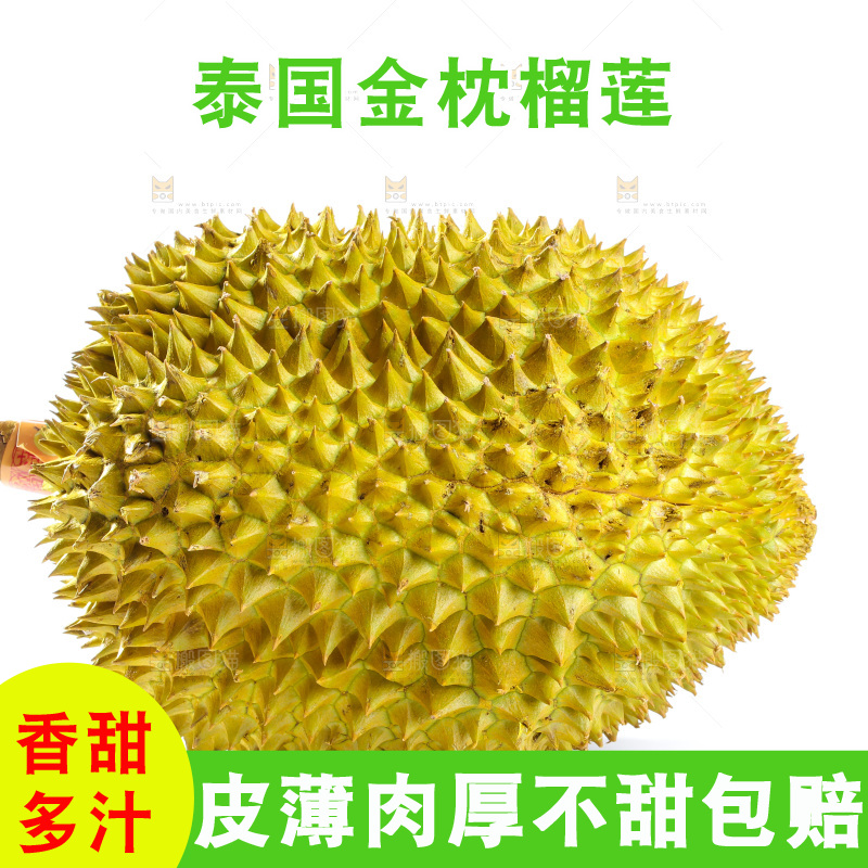 金枕榴莲