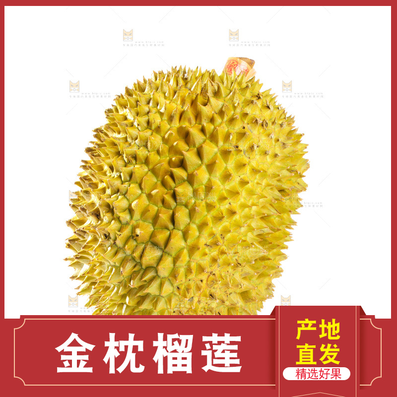 金枕榴莲