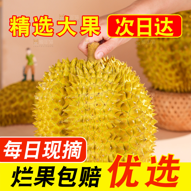 金枕榴莲