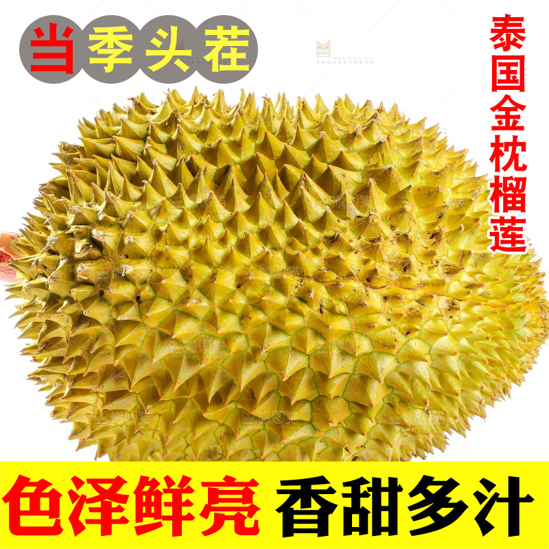 金枕榴莲