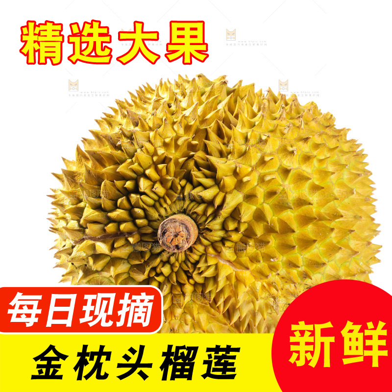 金枕榴莲