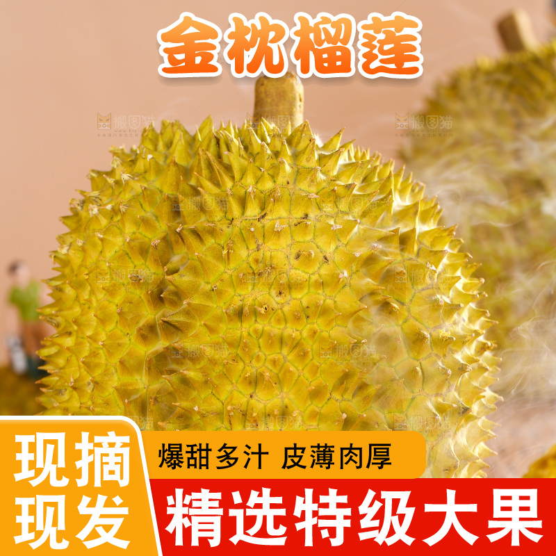金枕榴莲