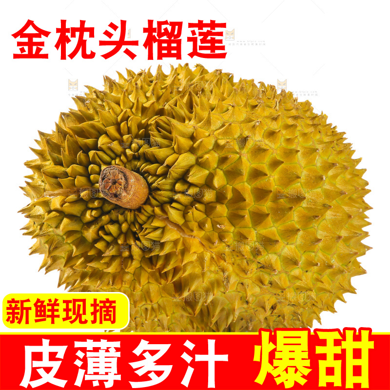 金枕榴莲