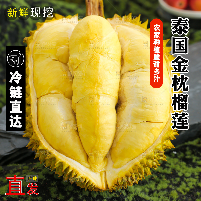 金枕榴莲