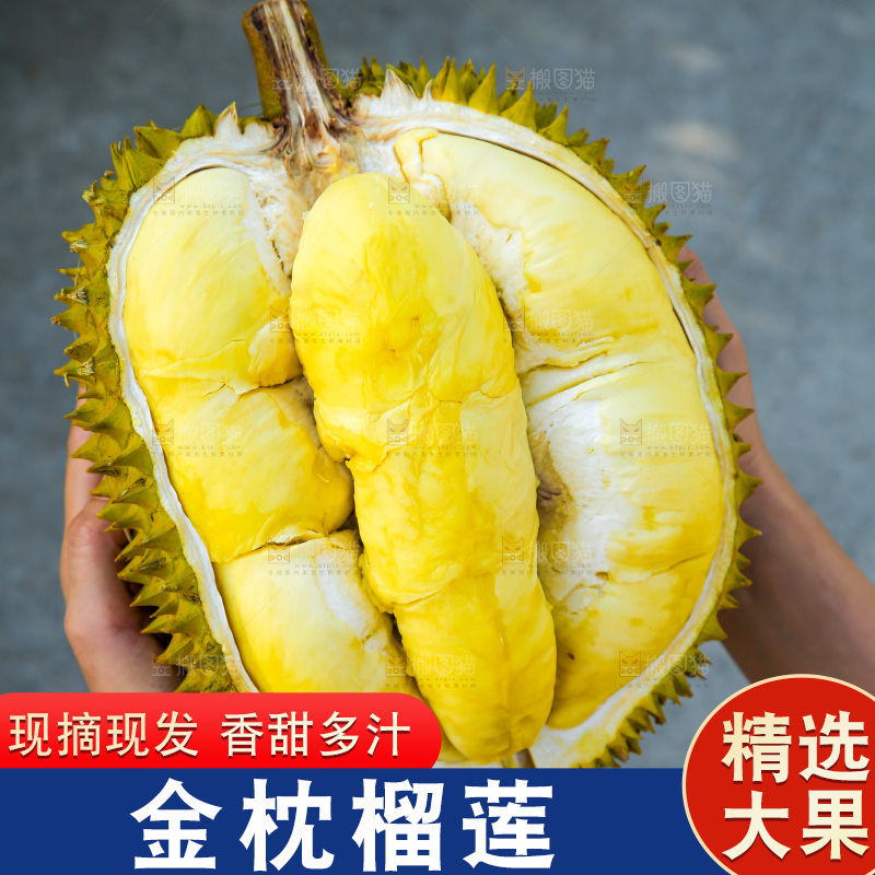 金枕榴莲