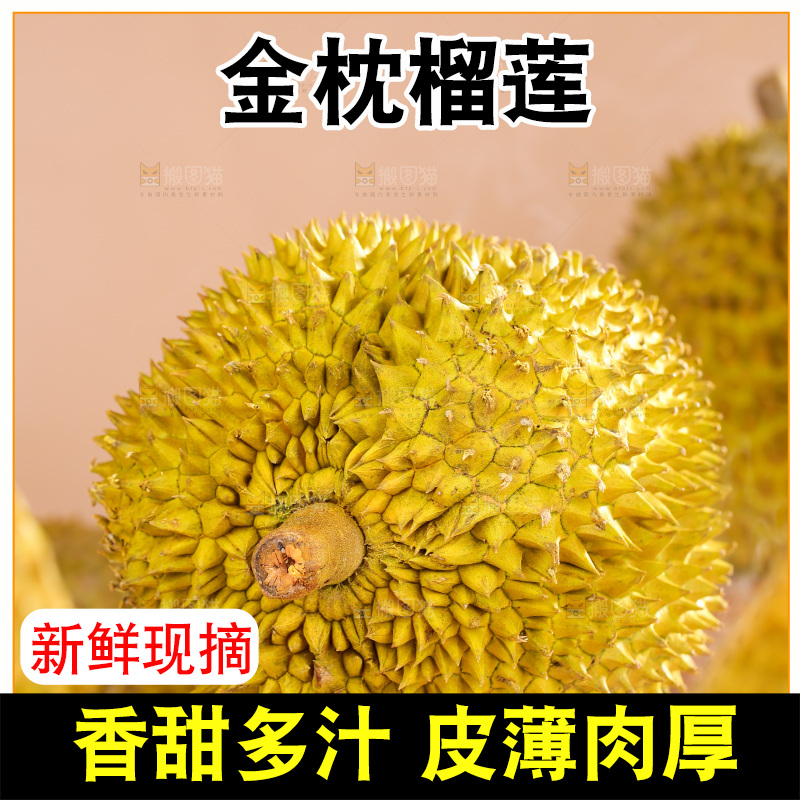 金枕榴莲