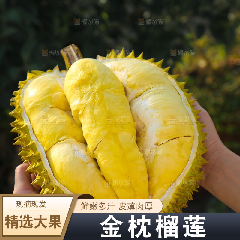金枕榴莲