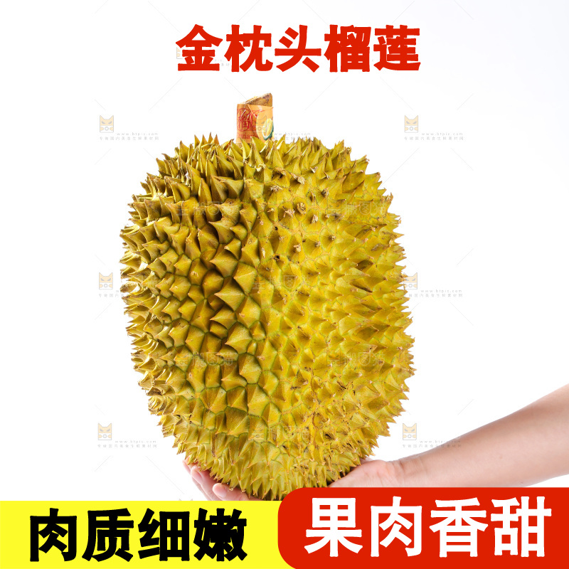 金枕榴莲