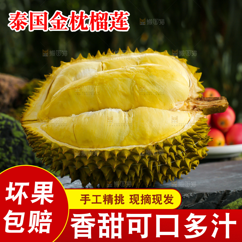 金枕榴莲