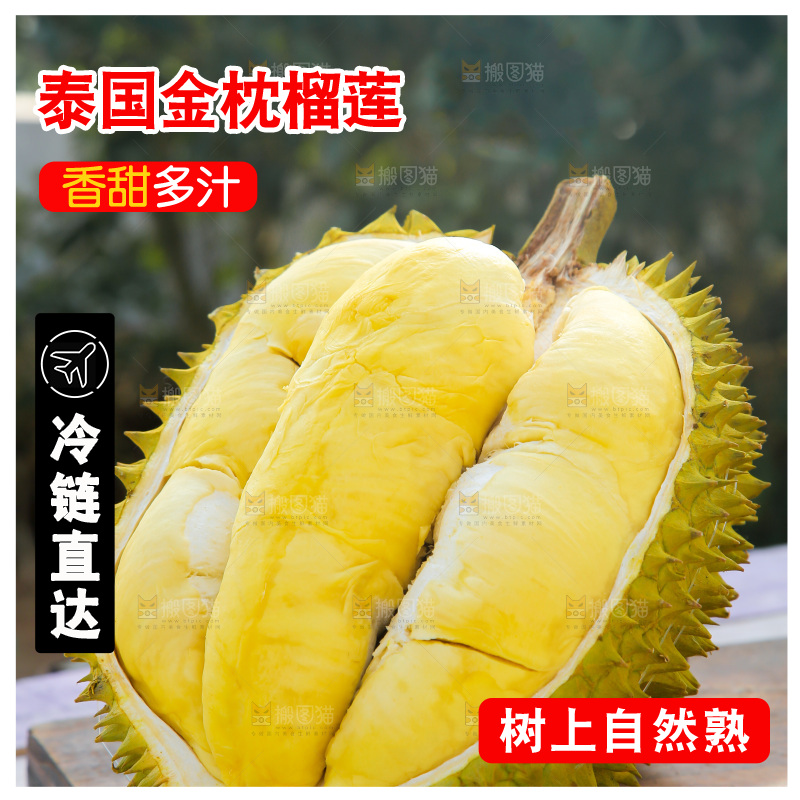 金枕榴莲