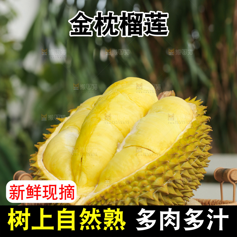 金枕榴莲