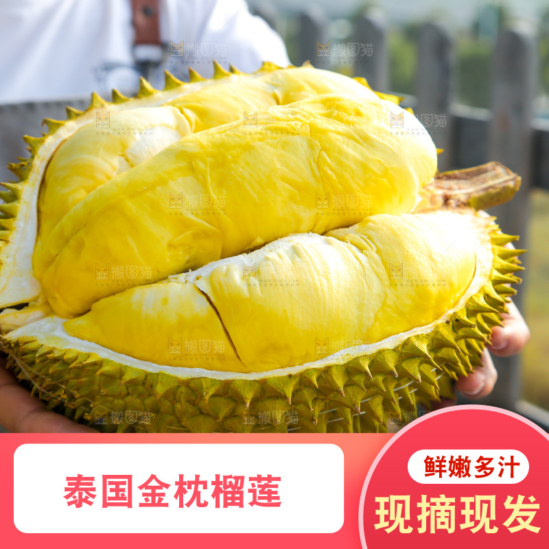 金枕榴莲