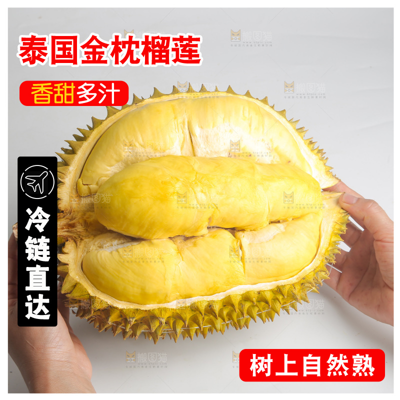 金枕榴莲