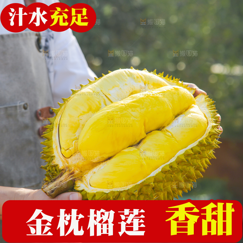 金枕榴莲