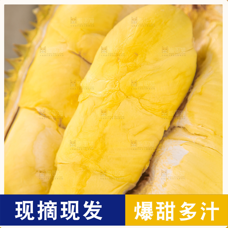 金枕榴莲