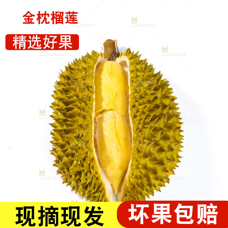 金枕榴莲
