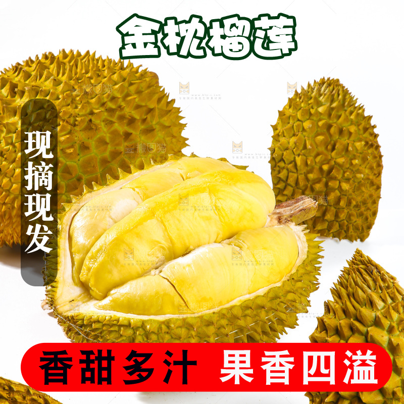 金枕榴莲