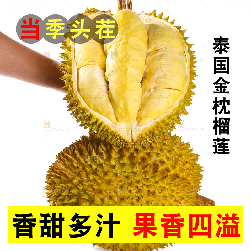 金枕榴莲