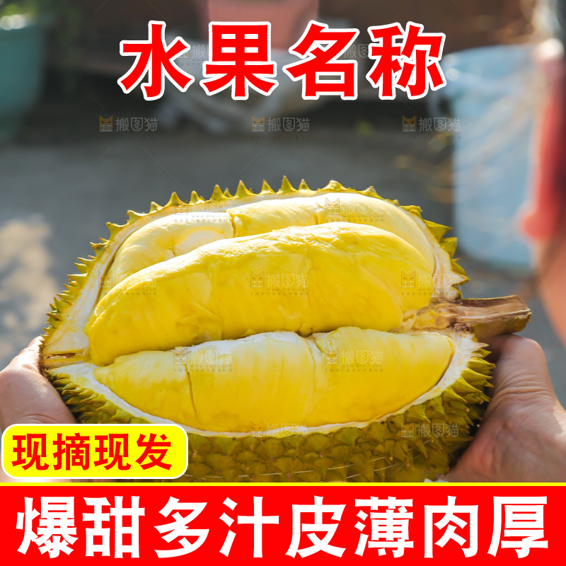 金枕榴莲