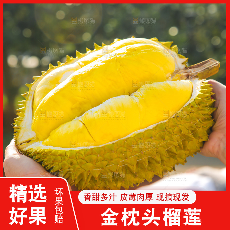 金枕榴莲